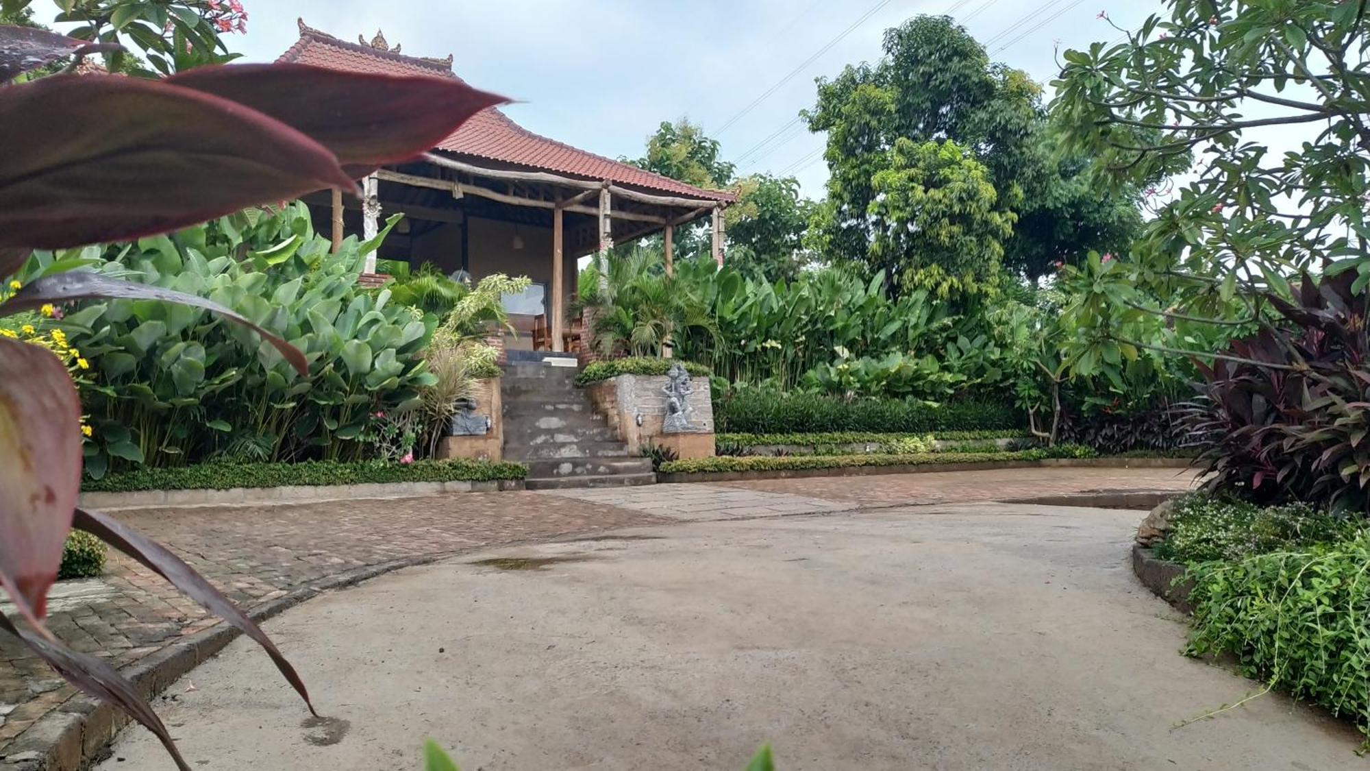 Eliska Sumberkima Pemuteran Exterior foto