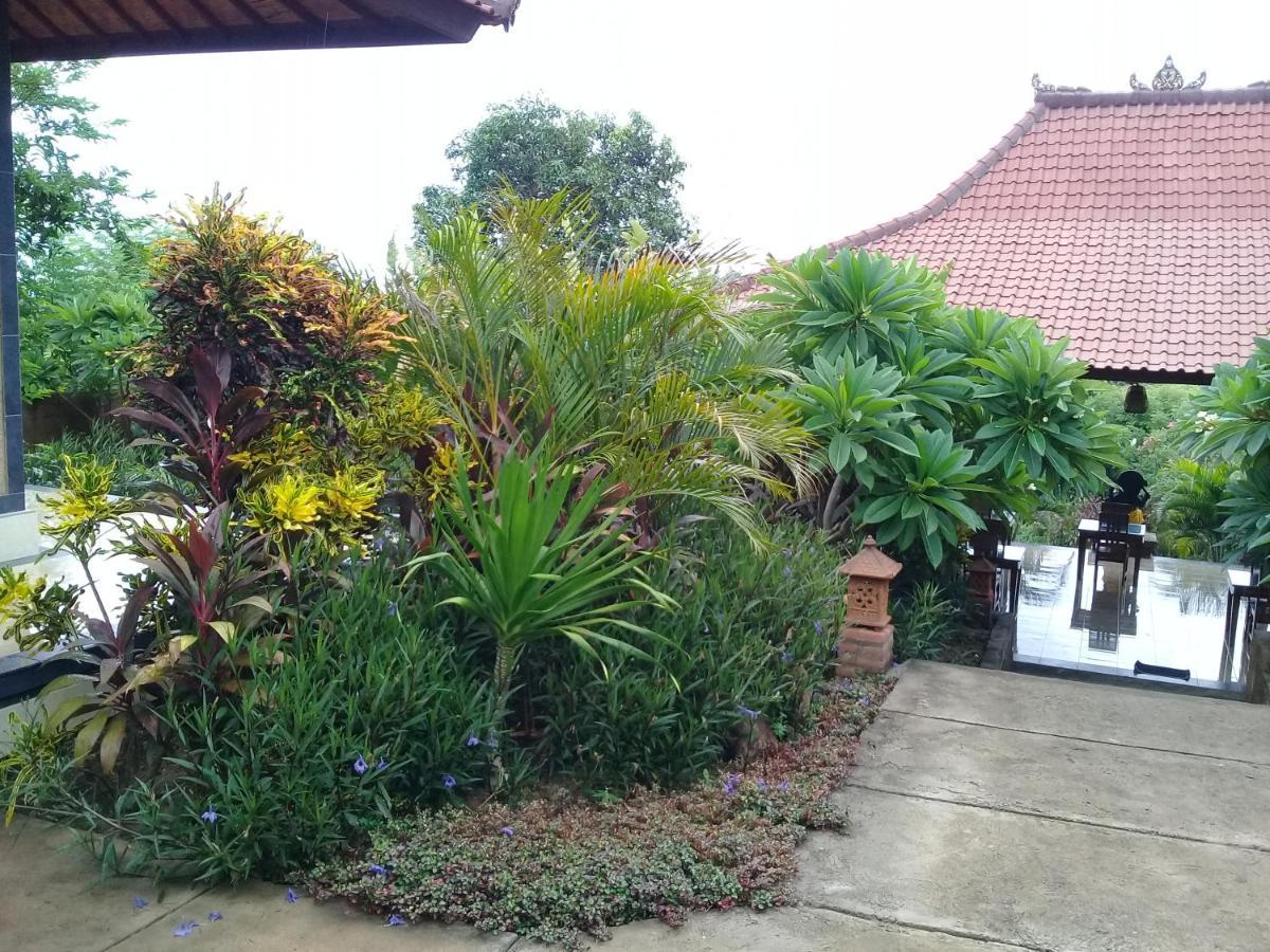 Eliska Sumberkima Pemuteran Exterior foto