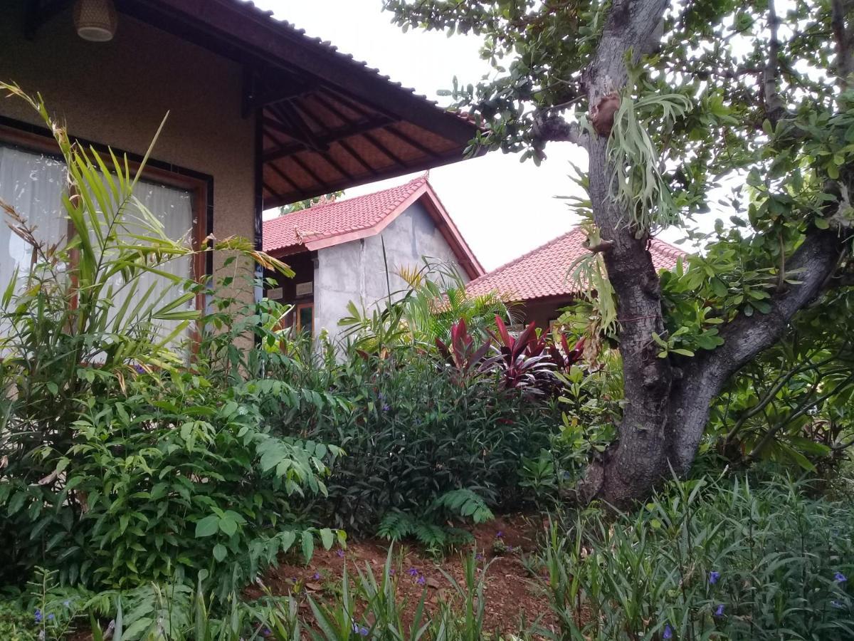 Eliska Sumberkima Pemuteran Exterior foto
