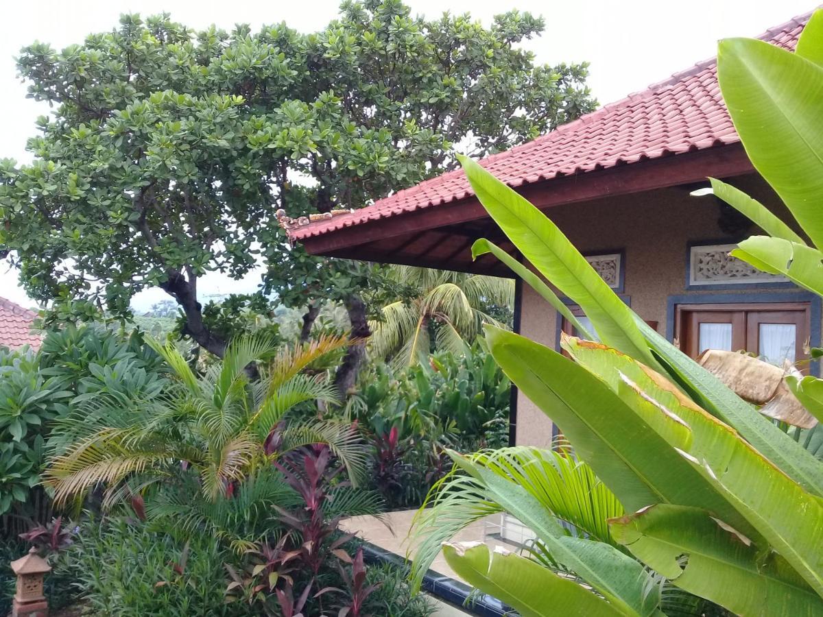 Eliska Sumberkima Pemuteran Exterior foto
